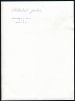 cca 1970-1980 Hollókői portré, fiatal asszony népviseletben. Dömötör László felvétele, hátoldalán fe...