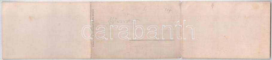 Kolozsvár, Cluj; Három részes kinyitható panorámalap. Schuster Emil kiadása / 3-tiled folding panora...