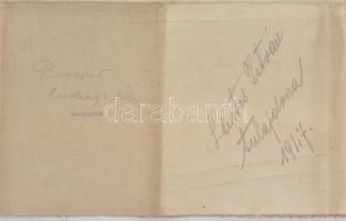 Budapest és környékének távolsági térképe 1899. Kiadja a Kereskedelemügi M. Kir, MInisztérium Budape...