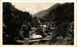 Radnaborberek, Borberek-fürdő, Valea Vinului; M. kir. Földm. Minisztérium üdülőtelepe / holiday resort, spa