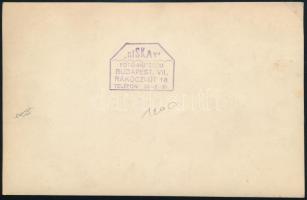 cca 1930-1940 Szülészeti osztály orvosokkal, nővérekkel, hátoldalán pecséttel jelzett fotó Diskay mű...