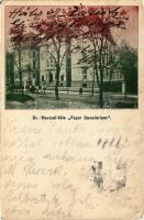 1917 Budapest VII. Városligeti fasor 9-13., Dr. Herczel-féle Fasor Szanatórium (EK)