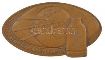 1959. 10 éves a vérellátó szolgálat 1949-1959 egyoldalas bronz plakett (60x110mm) T:2 patina, kis ph