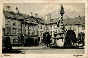 Sopron, megyeháza, Szentháromság szobor (EK)