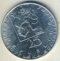 Csehszlovákia 1969. 25K Ag "J. E. Purkyne" T:1