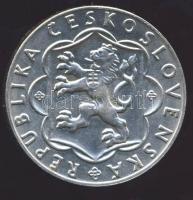 Csehszlovákia 1954. 25K Ag "Szlovák felkelés" T:2