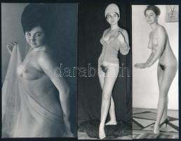 cca 1971 Kucsma, tűsarok, selyemkendő ..., és aki viseli ezeket, szolidan erotikus felvételek, 3 db jelzés nélküli, vintage fotó, ezüst zselatinos fotópapíron, 17,3x9,9 cm és 17x6 cm