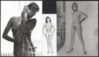 Az 1970-es évek kedvelt akt modelljei, 3 db jelzés nélküli, szolidan erotikus, vintage fotó, ezüst zselatinos fotópapíron, 24x18 cm és 18x7,6 cm