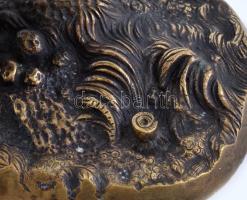 Nagy Gyula B.Pest jelzéssel: Vaddisznó. Öntött bronz, 18x9x10 cm