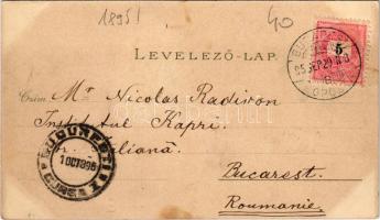 1895 (Vorläufer) Budapest, Kir. vár és várbazár, Lánchíd. Ottmar Zieher Art Nouveau, floral, litho