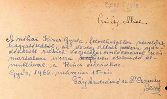 Dr. Finály Henrik: A latin nyelv szótára. A kútfőkből a legjobb és legújabb szótárirodalomra támaszk...