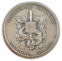 Francia DN "GENDARMERIE NATIONALE PRO PATRIA PRO LEGE" ezüstözött szelence, "FIA" gyártói jelzéssel, eredeti tokban (79mm) T:1