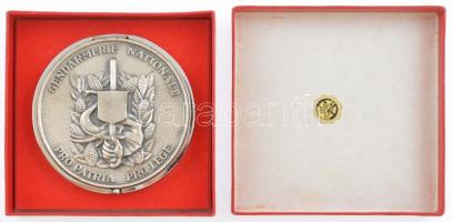 Francia DN "GENDARMERIE NATIONALE PRO PATRIA PRO LEGE" ezüstözött szelence, "FIA&quot...