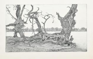 Nyári Lóránt (1928-1982): Papszigeti fák, 1969. Rézkarc, papír, jelzett, 29×49 cm