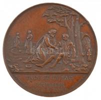 Franciaország / Lyon 1818. Lyoni Gyógyszertár bronz emlékérem peremen beütéssel. Szign.: Perrin, Penin (34mm) T:2 peremen anyagfelesleg France / Lyon 1818. DIispensary of Lyon bronze commemorative medallion. VADE ET TV FAC - SIMILITER - S; LVC. X. XXXVII / DISPENSAIRE - GENERAL DE LYON - FONDE EN - MDCCCXVIII. Sign.: Perrin, Penin (34mm) C:XF excess material on the edge