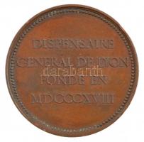 Franciaország / Lyon 1818. "Lyoni Gyógyszertár" bronz emlékérem peremen beütéssel. Szign.:...