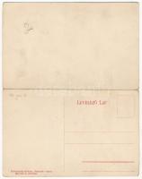 Anina, Stájerlakanina, Stájerlak, Steierdorf; vasgyár, iparvasút gőzmozdonnyal. Két részes kihajthat...