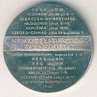 DN "Nemzeti Engesztelő Zarándoklat" ffém emlékérem. Szign.Bozó T:PP