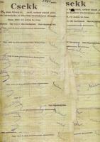 Pápa 1919. "Pápai csekk" 50K (77x) lyukasztással érvénytelenítve, klf variációkban T:III,I...