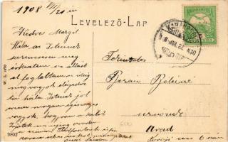 1908 Karánsebes, Caransebes;Temes híd. W.L. 1470. / boy Timis river bridge