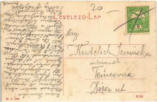 Fehértemplom, Ung. Weisskirchen, Bela Crkva; Városház. W.L. 1164. / Stadthaus / town hall