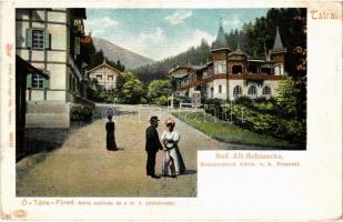 1917 Ótátrafüred, Tátrafüred, Altschmecks, Stary Smokovec (Magas-Tátra, Vysoké Tatry); Adria szálloda, m. kir. postahivatal. Feitzinger Ede 32 bt. / hotel and restaurant, post office (EK)