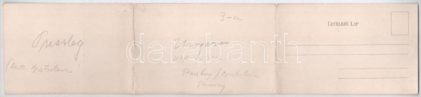 Pozsony, Pressburg, Bratislava; Látkép a várról. Neffe J. kiadása, három részes kinyitható panorámal...