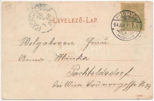 1904 Pöstyén, Piestany; Vág részlet, komp. Lampl Gyula kiadása / Váh river, ferry (EK)