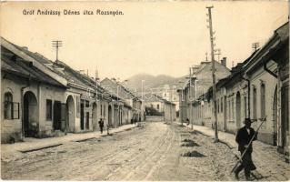 1913 Rozsnyó, Roznava; Gróf Andrássy Dénes utca, Blicz József üzlete. Falvi Jenő kiadása / street, shops