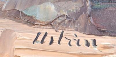 Urbán Gábor (1946-): Virág III. Olaj, farost, jelzett, dekoratív fakeretben, 50x40cm