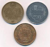 1981. "A Magyar Éremgyűjtők Egyesülete / Négyszázötven éve világít a pápai Schola fénye" b...