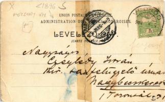 1908 Vedrőd, Voderady; Gróf Zichy kastély / castle. Art Nouveau, floral (r)
