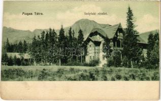 Tátraszéplak, Tatranska Polianka, Westerheim (Magas-Tátra, Vysoké Tatry); Széplaki részlet. M.T. és F.I. Koch Willy kiadása / villas (ferdén vágva / slant cut)