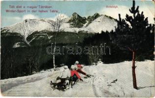 1912 Tátra, Vysoké Tatry; Téli élet a Magas Tátrában, irányítható szánkó / winter sport, toboggan, sled, controllable bob sleigh (EK)