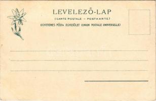 Tátra, Magas-Tátra, Vysoké Tatry; Lengyel-nyereg és a kis Viszoka, túrázók. Feitzinger Ede 303. 1904...