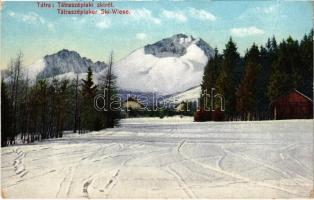 1917 Tátraszéplak, Tatranska Polianka, Westerheim (Tátra, Magas-Tátra, Vysoké Tatry); ski rét, téli sport. Cattarino S. utóda Földes Samu kiadása. Dr. Guhr felvétele / ski area, winter sport