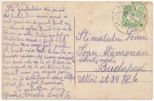 1912 Szervesd, Zervesti (Karánsebes); Stupina preotului Joan Jucos / Ioan pap méhészete / the priest...