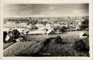 1928 Léva, Levice; szőlőhegy / vineyards. photo