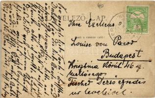 1913 Fáj, Fáy-kastély. photo (EK)