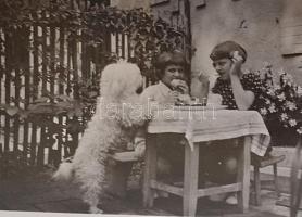 Nagy doboznyi vegyes papírrégiség: kártynaptárok, fotók, okmányok, fejléces levélpapírok, néhány kat...