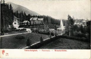 Tátraszéplak, Tatranska Polianka, Westerheim (Tátra, Magas-Tátra, Vysoké Tatry); Feitzinger Ede 758. A.J. 1904/14.