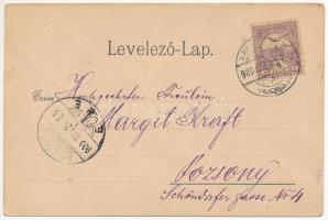 1900 Karánsebes, Caransebes; Izraelita templom, zsinagóga, Radetzky utca, piac árusokkal. Perlsfaste...