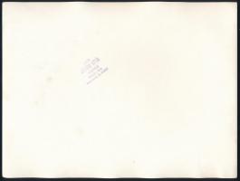 1938 A Szent Jobb Veszprémben, vitéz Mészáros István pecséttel jelzett fotója, 18×24 cm