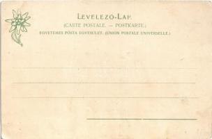 Tátra, Magas-Tátra, Vysoké Tatry; Csorbató fogaskerekű vasútállomás, vonat, gőzmozdony. Feitzinger E...