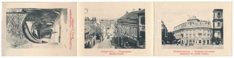 Nagyszeben, Hermannstadt, Sibiu; leporellolap 10 kis képpel. Louise Knopp / leporellocard with 10 mi...