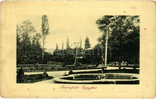 1911 Buziásfürdő, Baile Buziás; gyógykert. W.L. Bp. 2046. / spa park (EK)