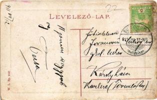 1911 Buziásfürdő, Baile Buziás; gyógykert. W.L. Bp. 2046. / spa park (EK)