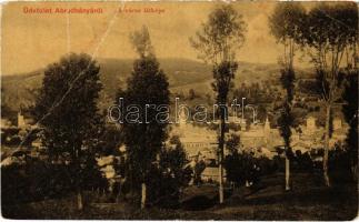 Abrudbánya, Abrud; város látképe. W.L. 2330. / general view (fa)