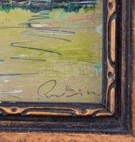 Rubint Ávrahám Péter (1959-): Táj. Olaj, karton, jelzett, hátoldalán autográf felirattal, üvegezett ...