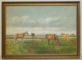 Nils Peter Christiansen (1873-1917): Legelő ménes olaj-vászon keretben 70x50 cm